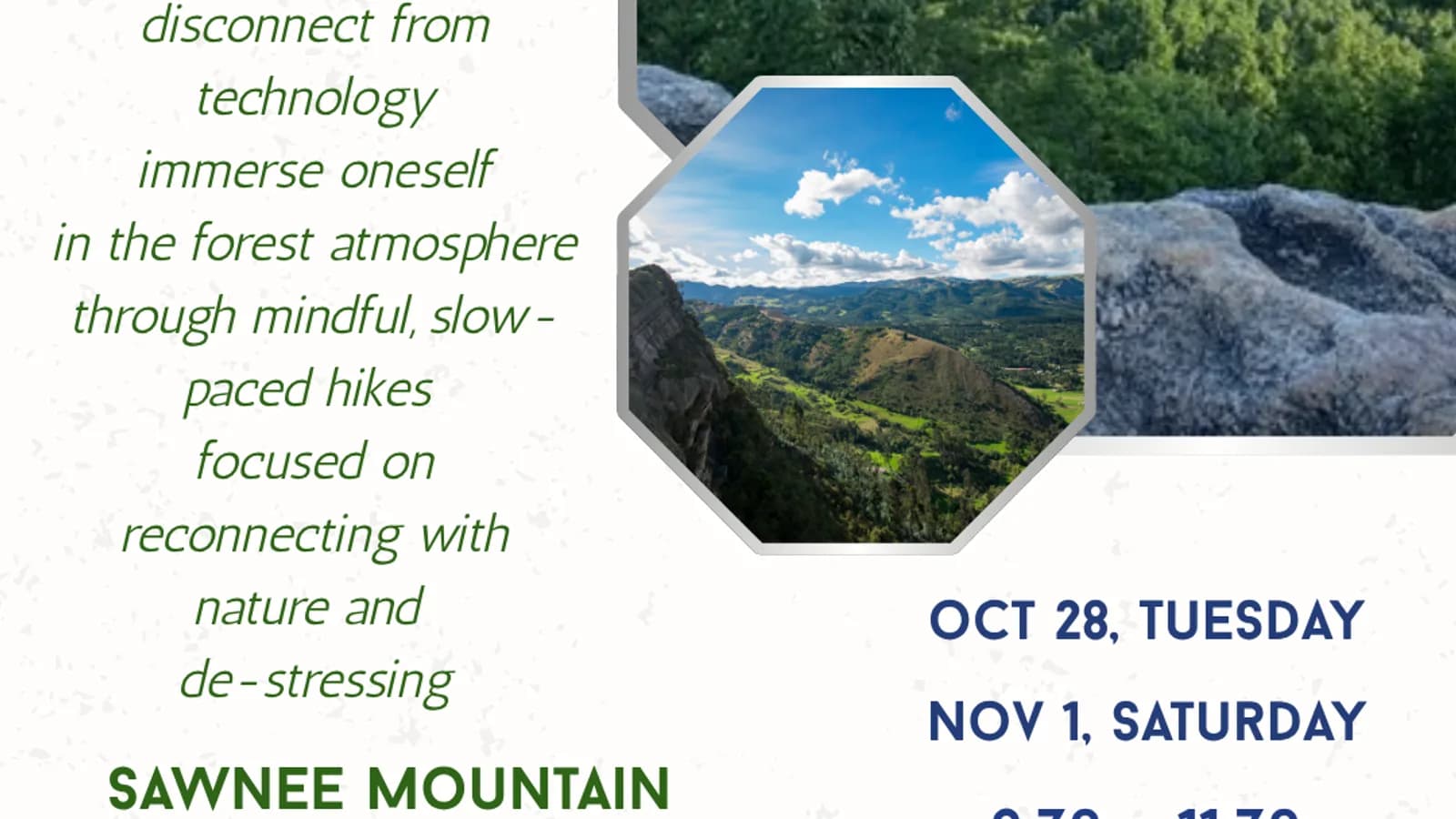 Hiking Club: Forest Bathing